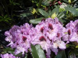 20100511_104603.jpg