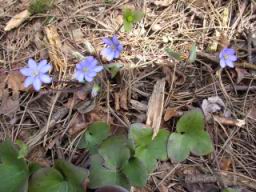 20040409_123228.jpg
