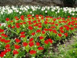 20040417_104331.jpg