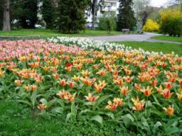 20040417_104549.jpg
