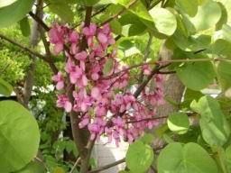 20040512_104015.jpg