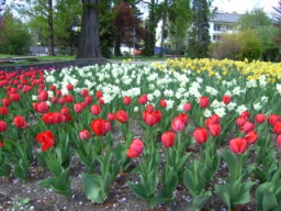 20080417_154456.jpg