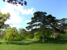 20080420_104915.jpg