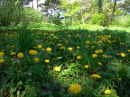 20080420_105159.jpg