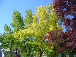20080508_094759.jpg