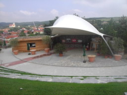 PICT8546.jpg