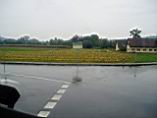 20030909_142407.jpg