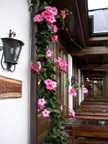 20030909_170943.jpg